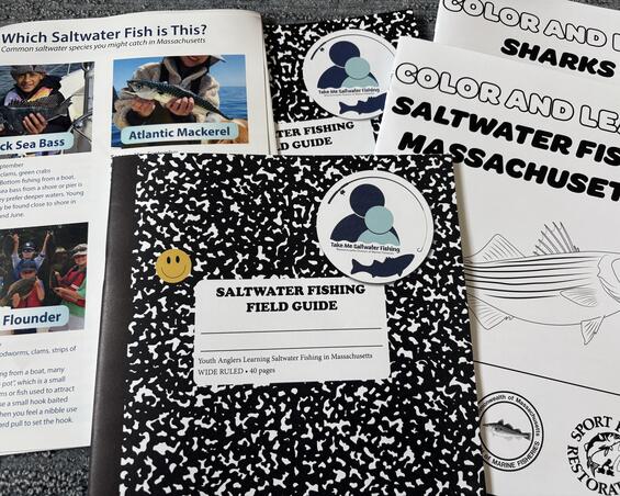 Assorted saltwater fishing guides and activity books.