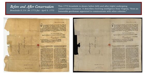 Before and After conservation panel image