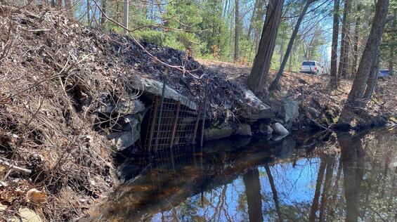 Culvert at Herrick Rd, Boxford