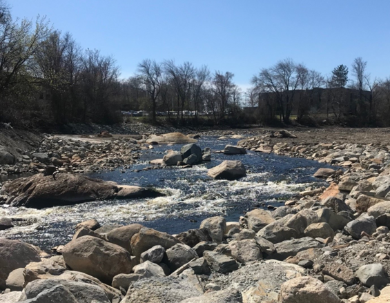 A river flowing through rocks