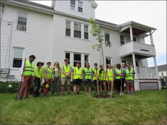 Clark University HERO students and staff planting trees with DCR in Chicopee.
