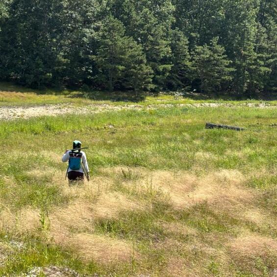 A person walking through a wetland.