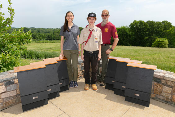 a woman, boyscout, and man standing beside multiple bat houses