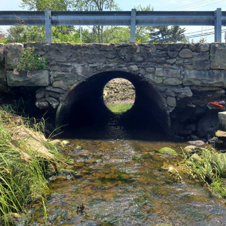 Water flowing through a culvert.