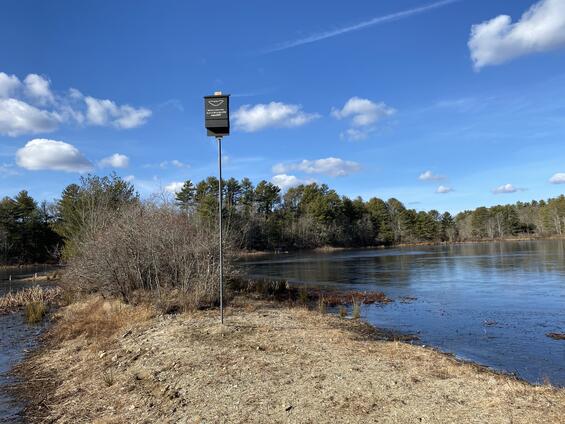 a bat house next to a pond