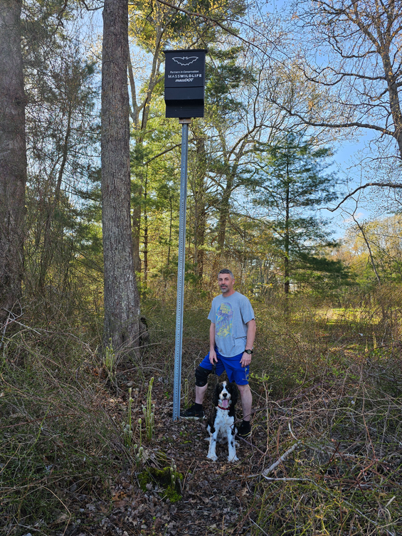 a man and a dog in the woods standing next to a bat house