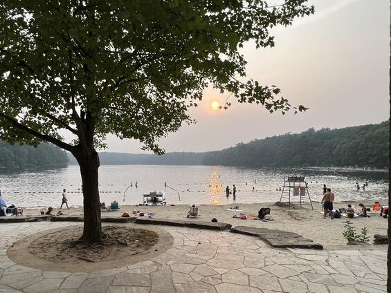 A hazy sun sets over a pond full of swimmers