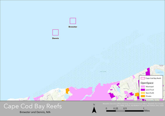 Cape Cod Bay Reefs Habitat Revitalization Project | Mass.gov