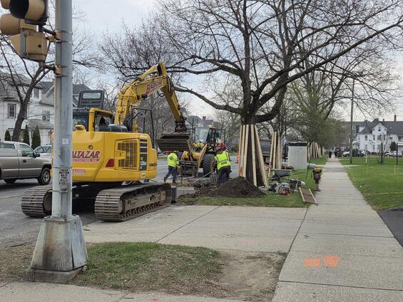 Roadside trees wrapped for construction protection.