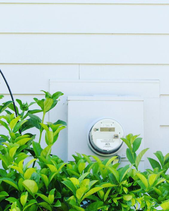 smart meter on house behind some vegetation