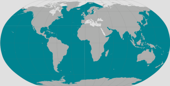 approximate representation of the humpback whale's range