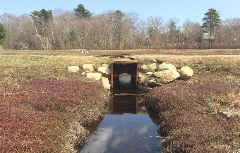 Cranberry Bog Program Project Updates Mass.gov