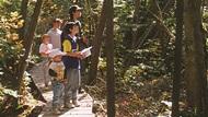 Group walking along the boardwalk through the sun-filled woods.
