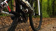 A mountain bike riding through wooded trails.