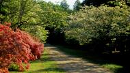 Bradley Palmer State Park | Mass.gov