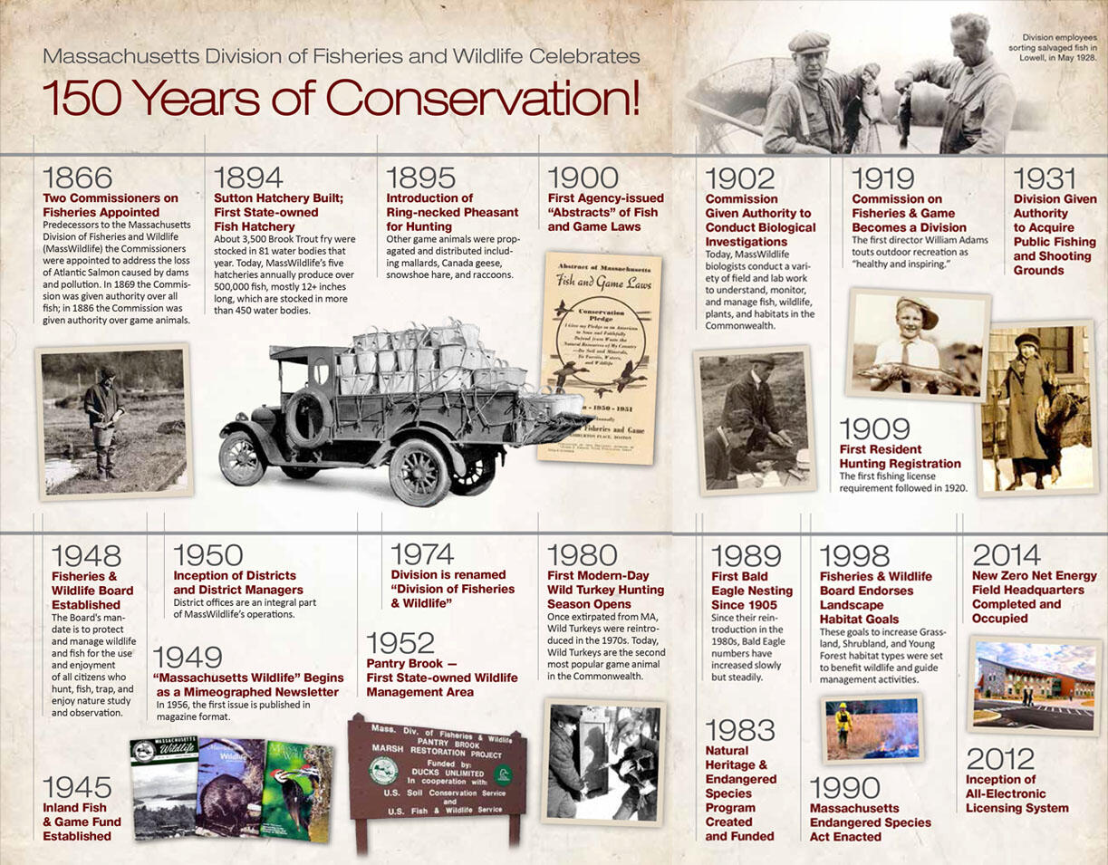 150 years of MassWildlife