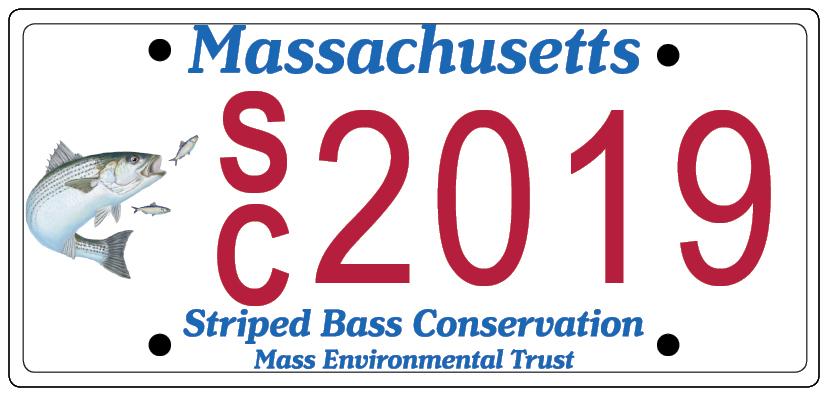 Striped Bass Conservation License Plate