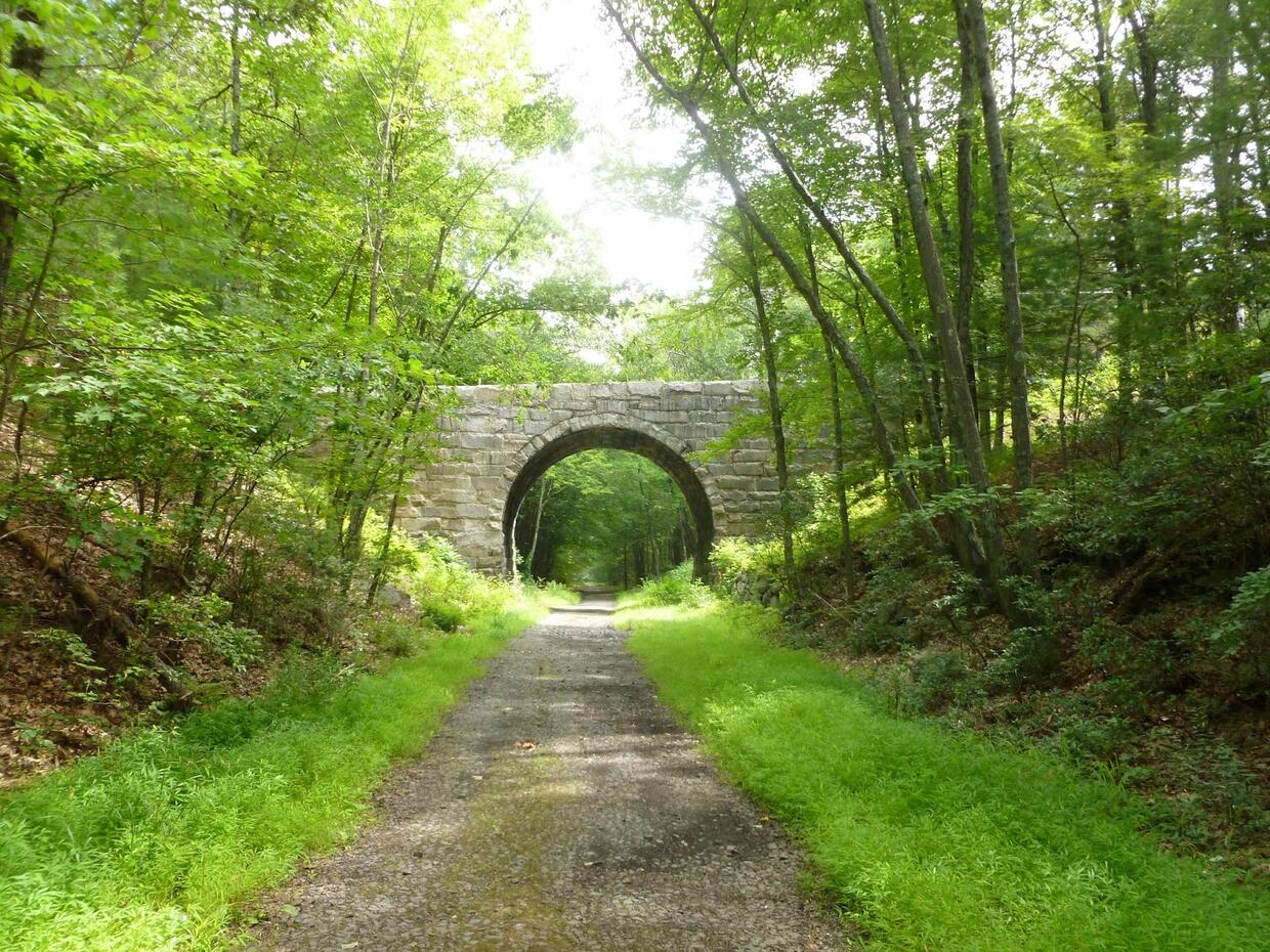 stone bridge surrounded by trees