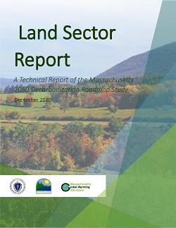 Land Sector Technical Report Icon