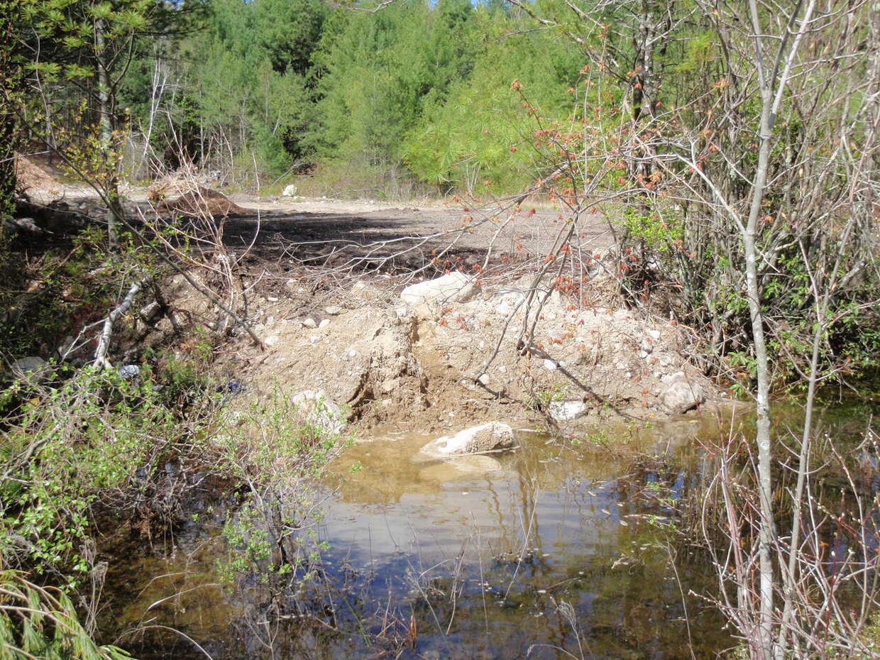 Clearing of forest and filling of vernal pools are ongoing causes of habitat loss for Jefferson salamander in Massachusetts.