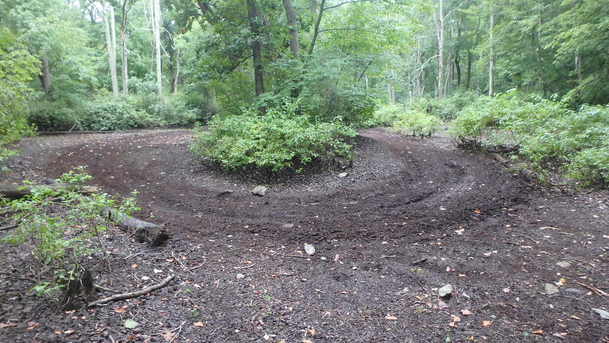 destruction of habitat