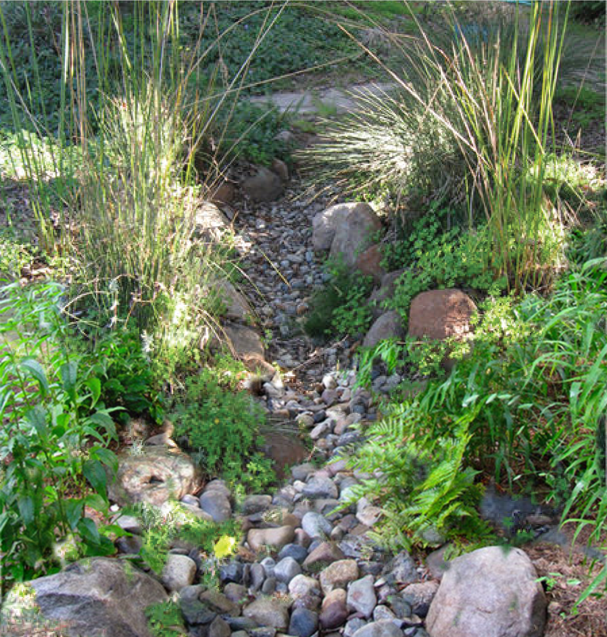 Stormwater Solutions for Homeowners Fact Sheet: Vegetated Swales | Mass.gov