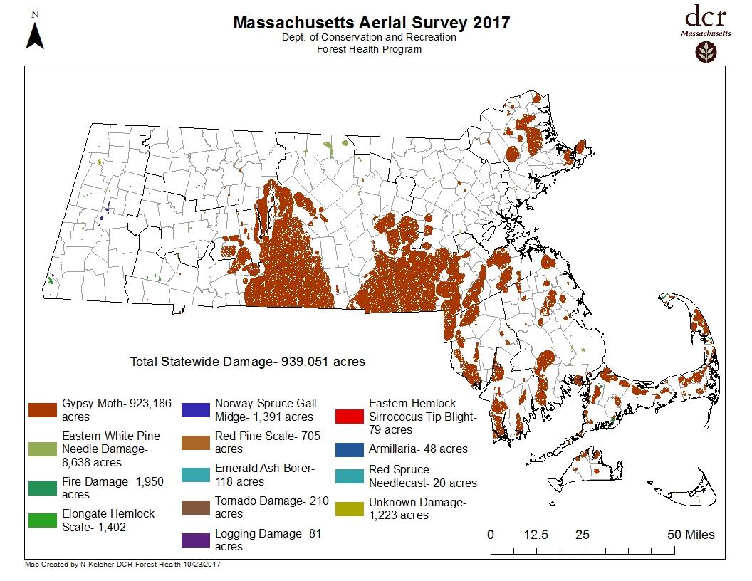 2017 Forest Health Aerial Survey