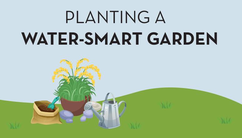 planting a water smart garden