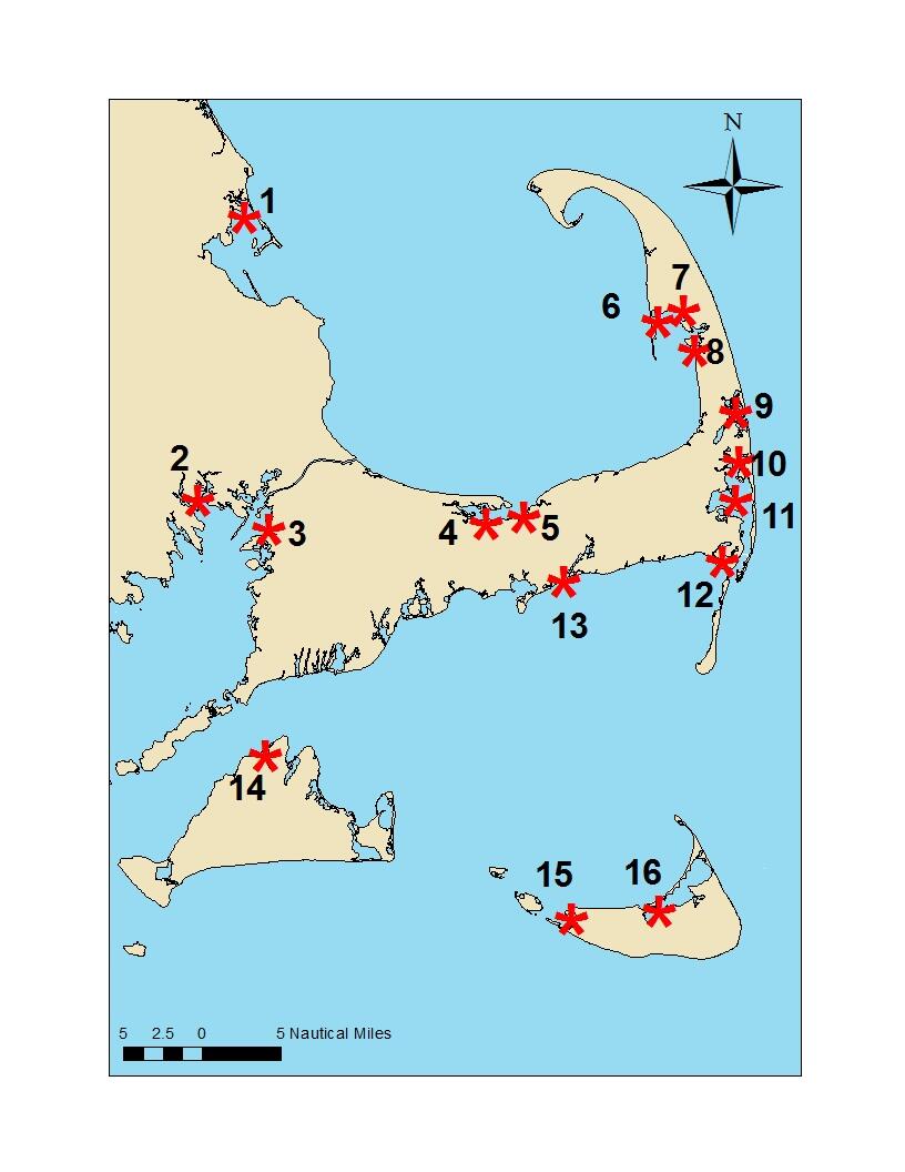 2018 horseshoe crab survey