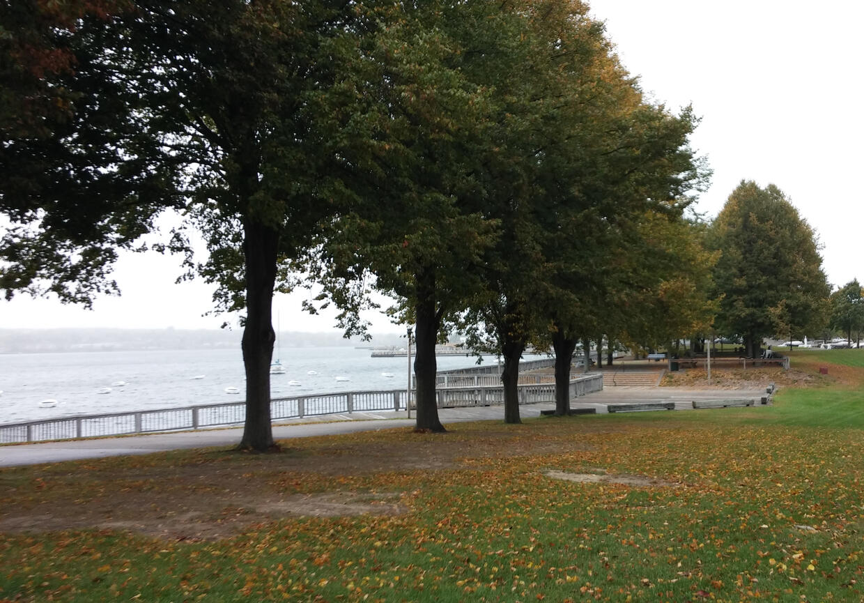 A boardwalk winds through a park next to a wide river.