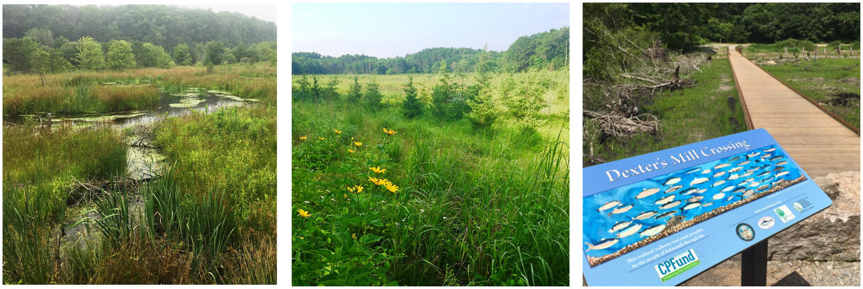 Three images of restored wetlands on retired cranberry farms