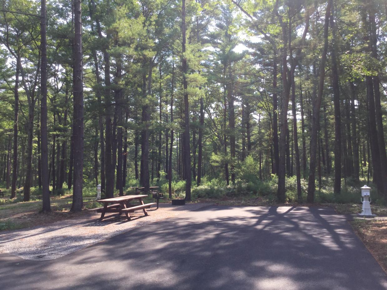 A wide, flat rectangle in the woods. On the right is pavement with an electrical pedestal and on the left is crushed stone with a picnic table and a pedestal grill.