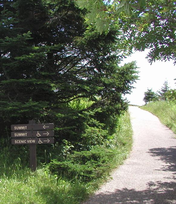 A sign with arrows is mounted next to a gently-sloping path that leads into a meadow. An arrow pointing to the left says Summit. Arrows pointing to the right say Summit and Scenic View next to an icon of a person in a wheelchair.