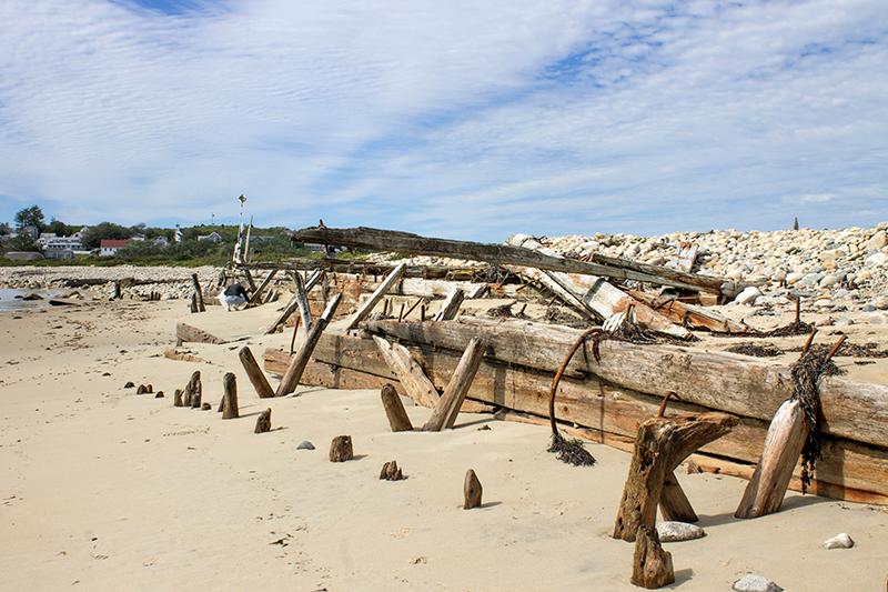 A participant picking around the remains of old barges at Barges Beach.