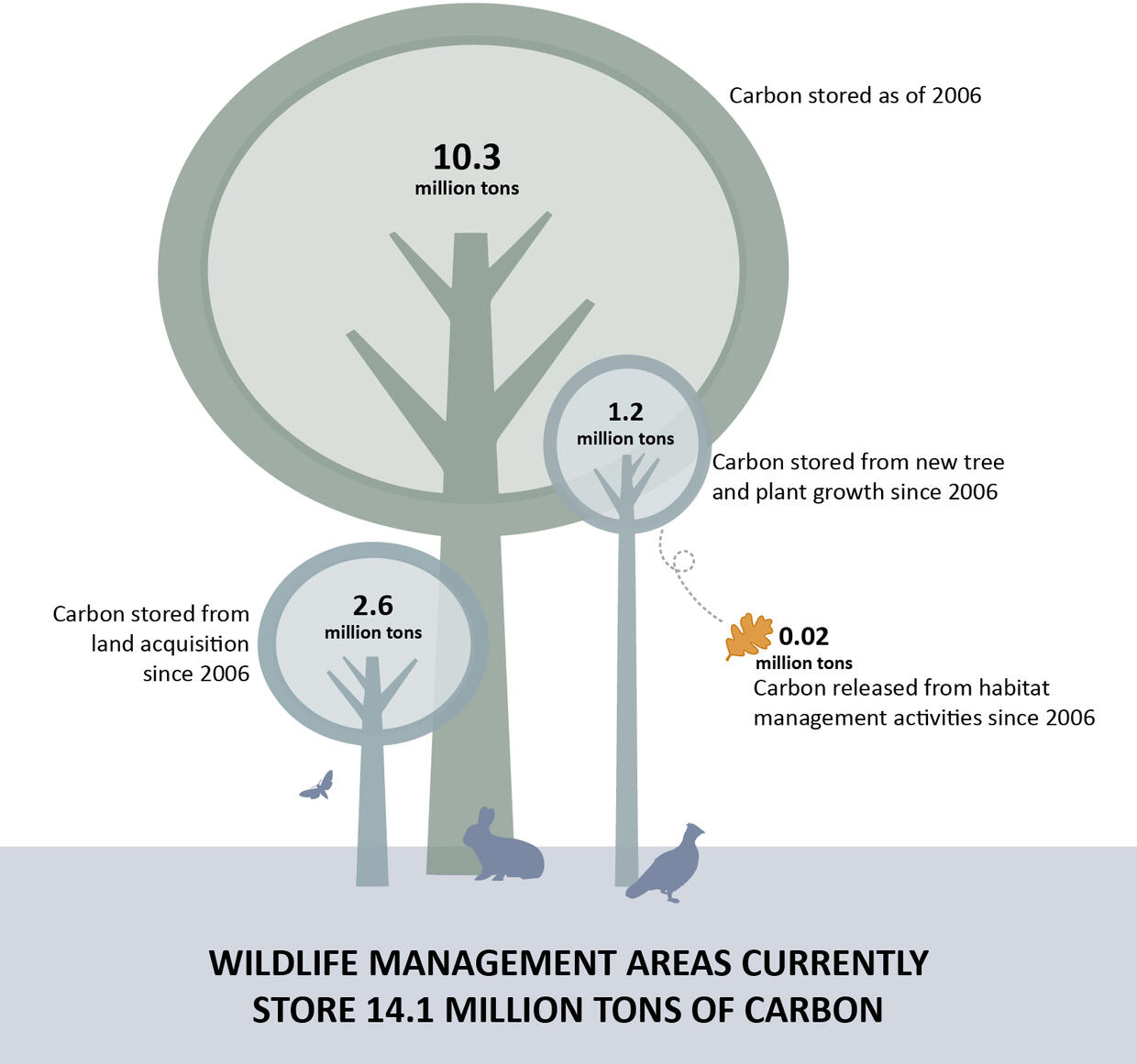 carbon budget on WMAs