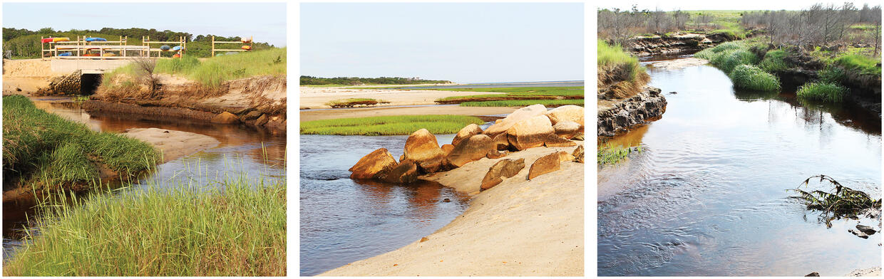 Freeman's Pond Restoration site