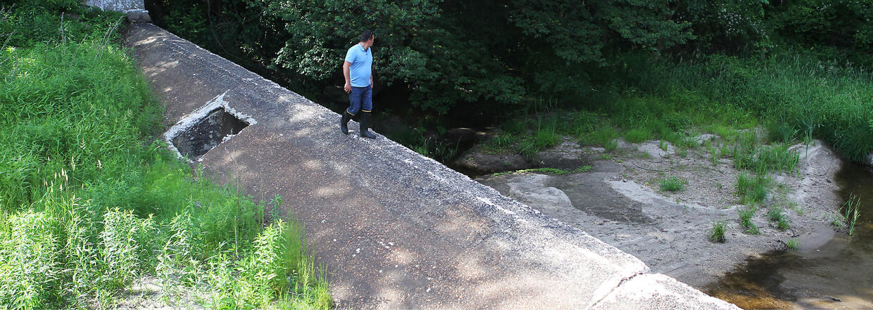 Lyman Pond Dam