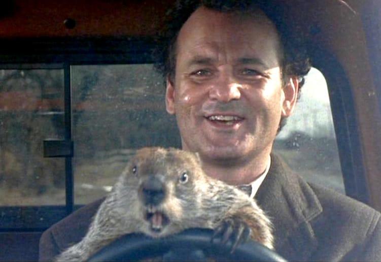 A groundhog sitting on Bill Murray's lap, while the groundhog drives a truck. It is from the movie Groundhog Day.