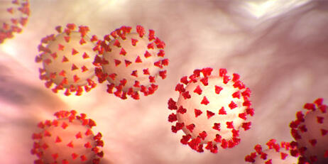 coronavirus image