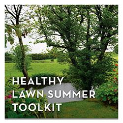 Healthy Lawn Happy Summer Toolkit 