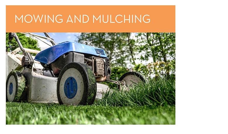 Mowing and mulching