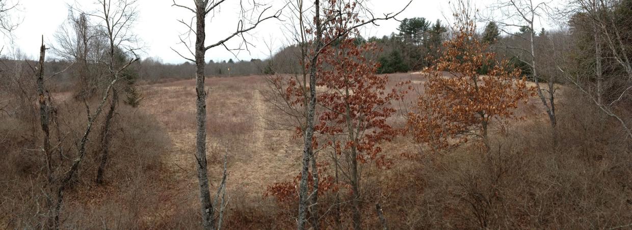 deer-habitat-field-woods_troy-gipps