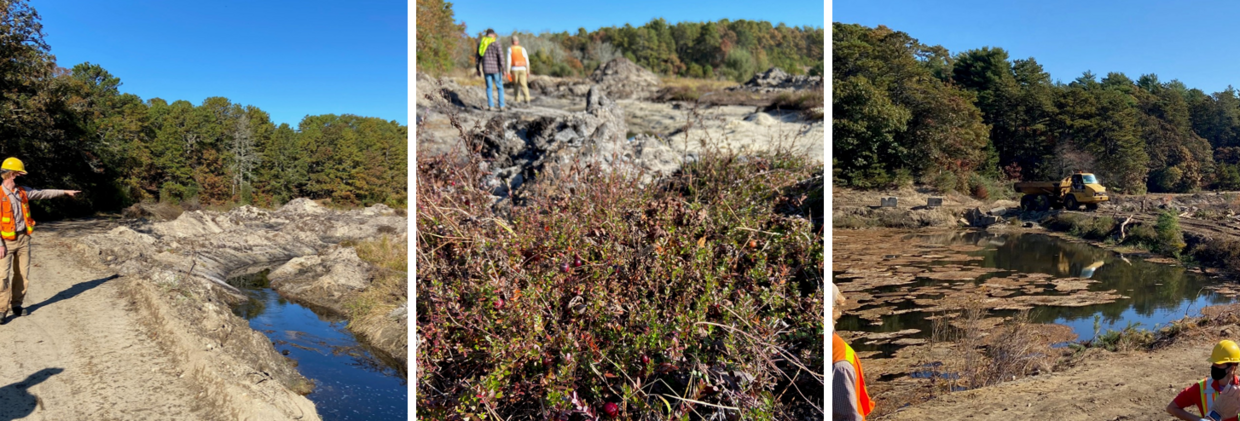 Three images, the first showing a person in a high visibility vest and hard hat pointing at disturbed earth, the second showing two figures in construction gear walking away over disturbed earth with cranberries in the foreground, and the third showing a dump truck near a pond.