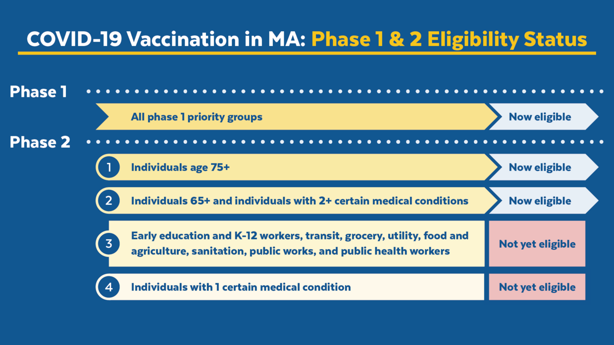 mass vaccine phases