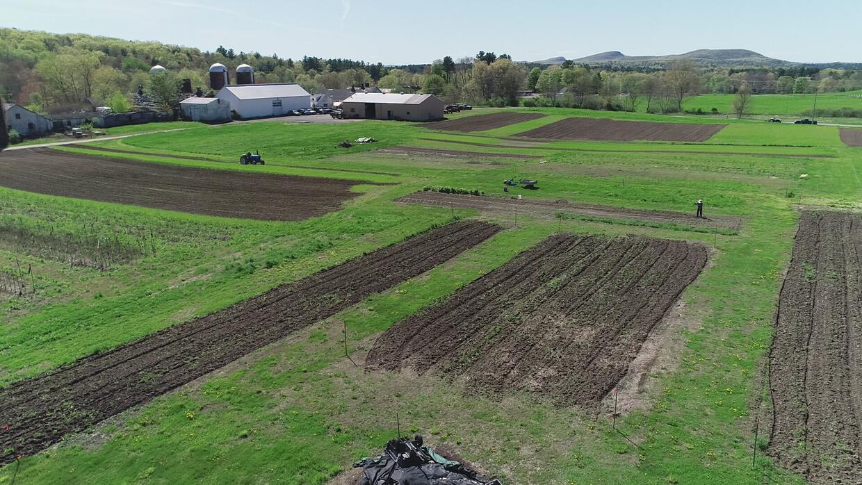 Lampson Brook Farm