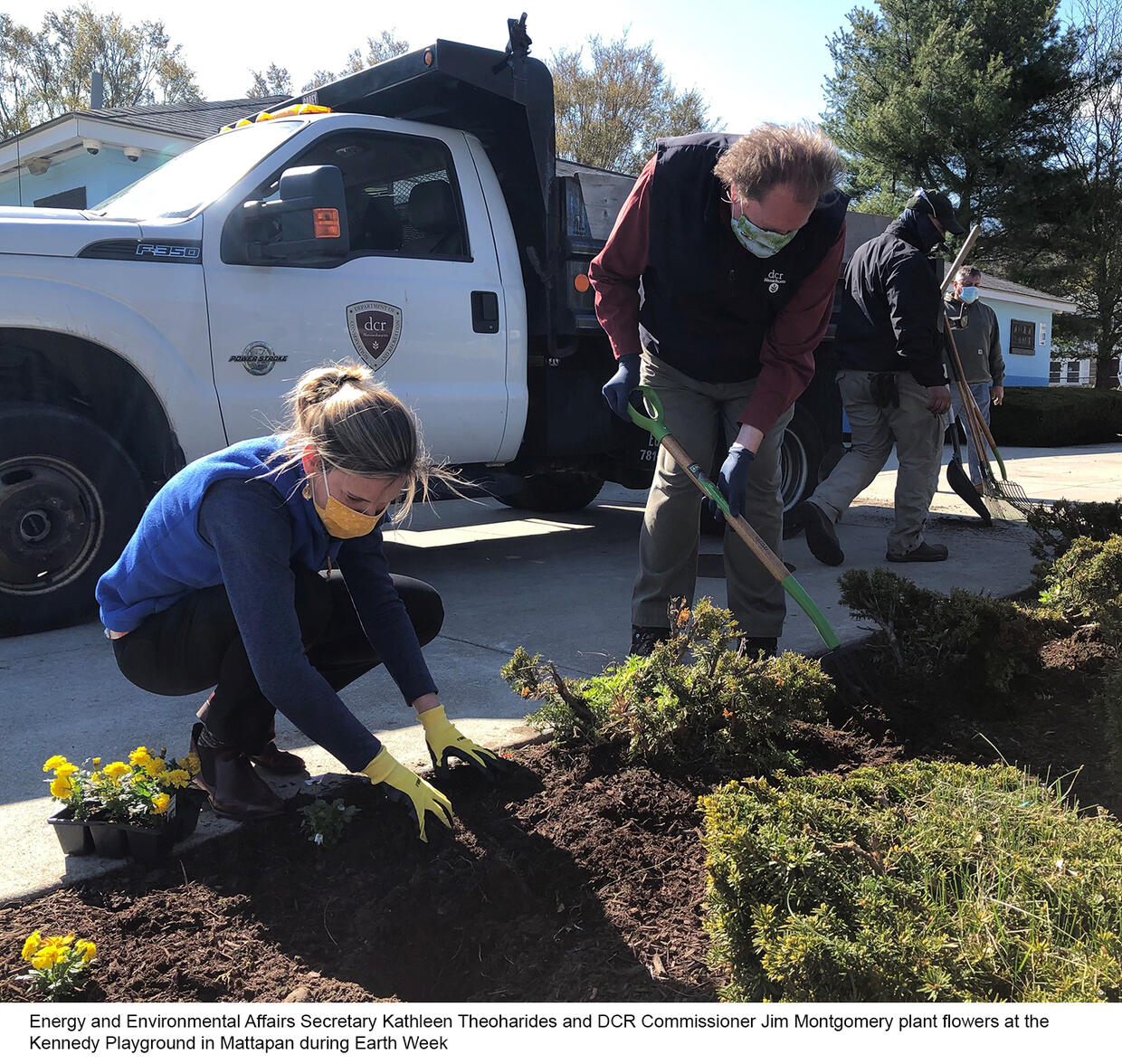 planting flowers