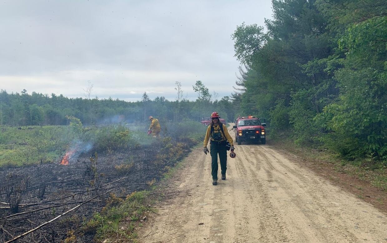 Prescribed fire in heathland at Birch Hill WMA in Winchendon