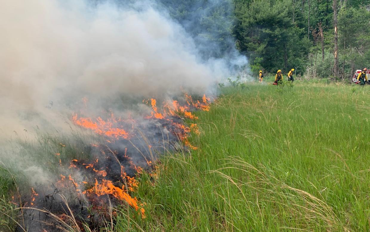 Slow moving but highly effective late spring grassland burn at Herm Covey WMA. 