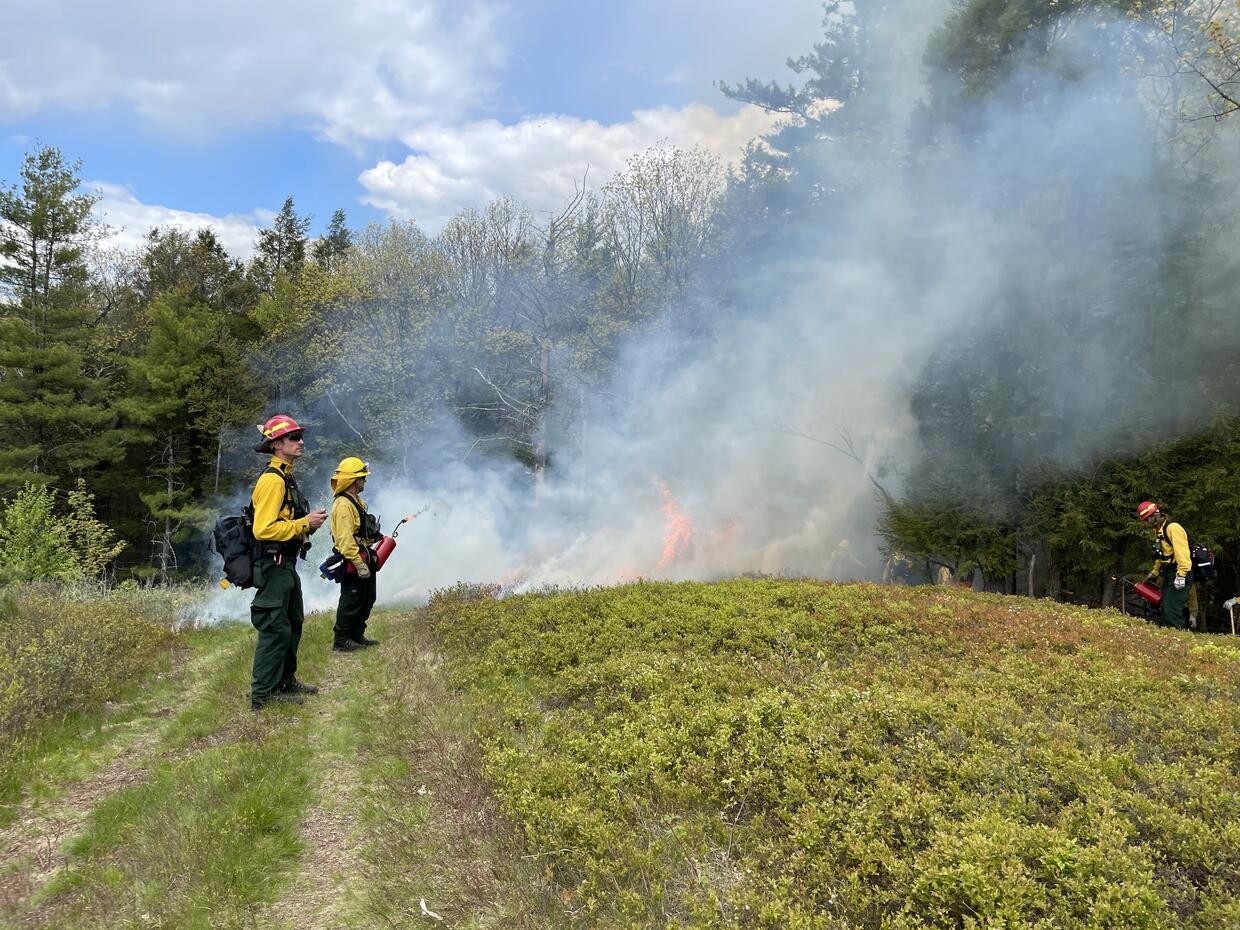 Ridgetop heath prescribed fire at Leyden WMA