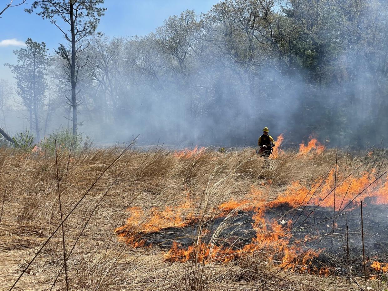 Woodland and grassland prescribed fire at Southwick WMA